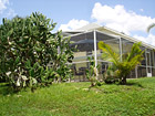 The Tropical Gardens