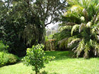 The Tropical Gardens